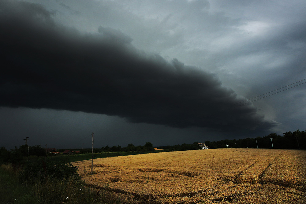 Tan2017-6-29_133520295_5