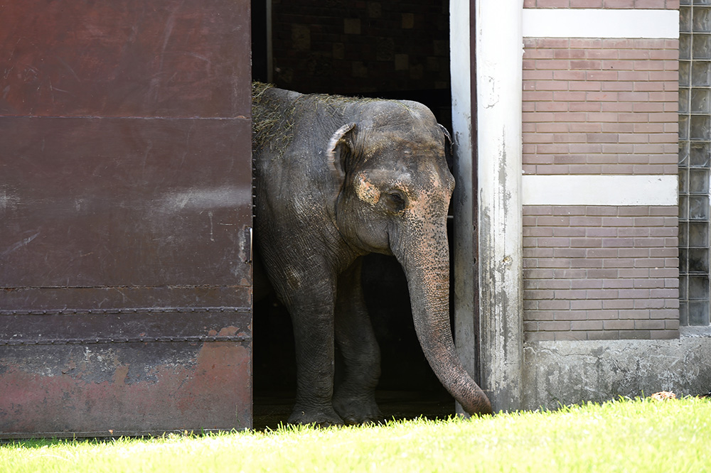 Tan2017-7-12_134416744_1