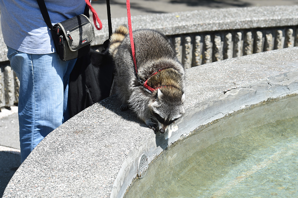 TANJUG/Dragan Kujundžić