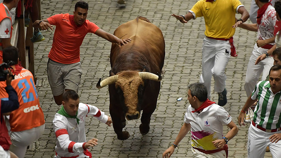 Tan2017-7-9_84857862_0 1