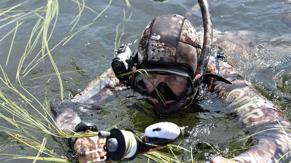 Tan2017-8-5_71259372_2 (1)