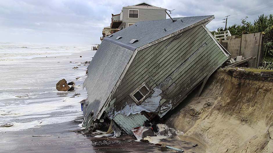 Tan2017-9-11_20551400_0 1