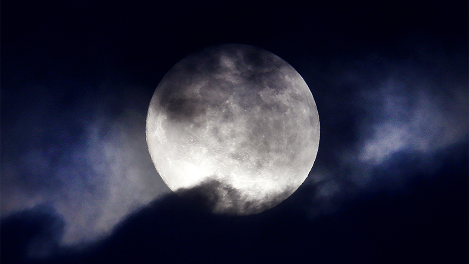 Tan2018-1-30_18560670_1 11