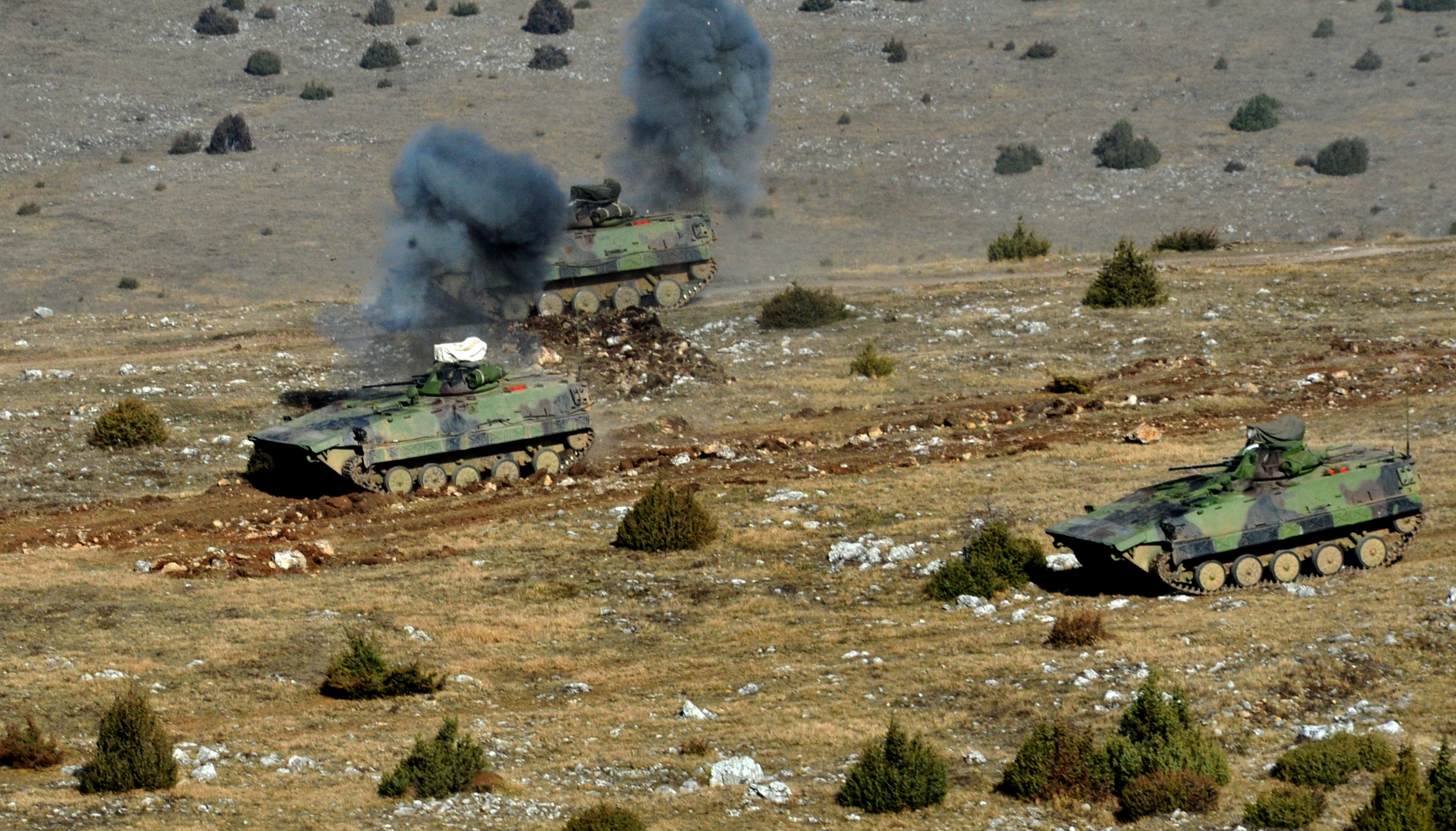 Tanjug/ Dimirije Goll