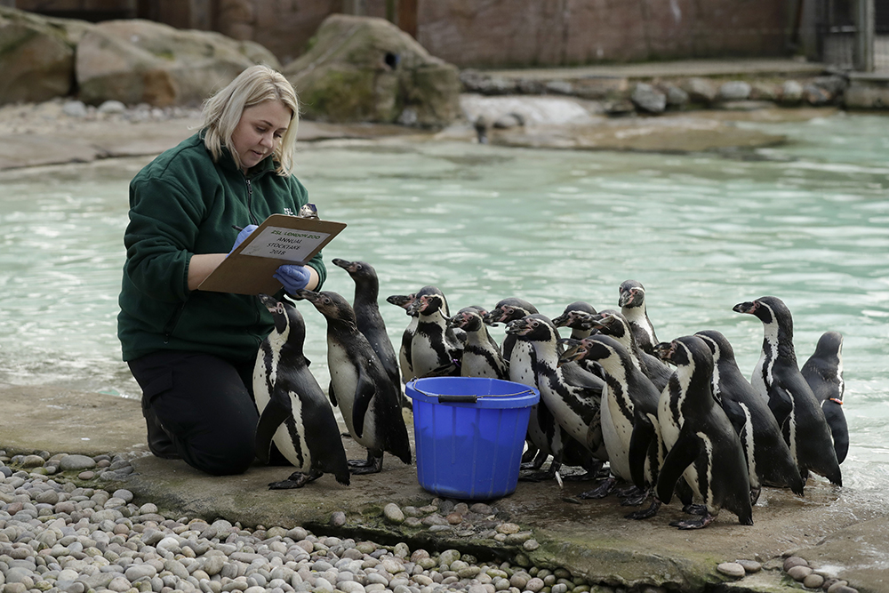 Tan2018-2-7_13524157_0