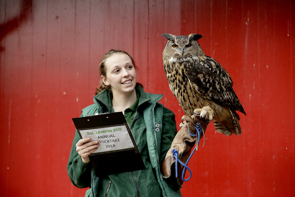 Tanjug/AP/Matt Dunham