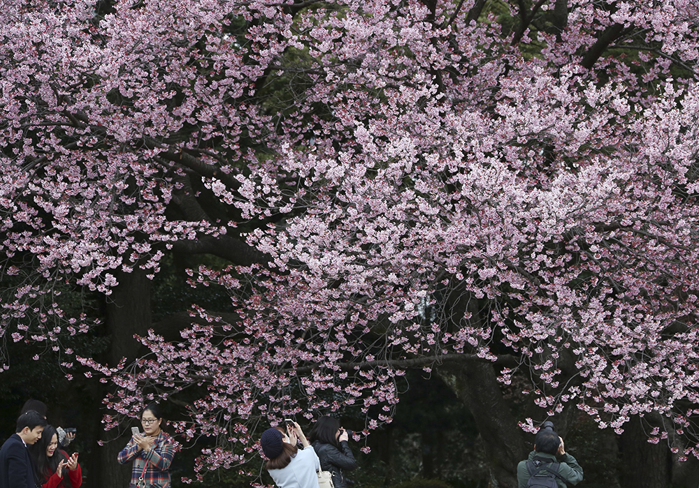 Tan2018-3-10_72217778_0