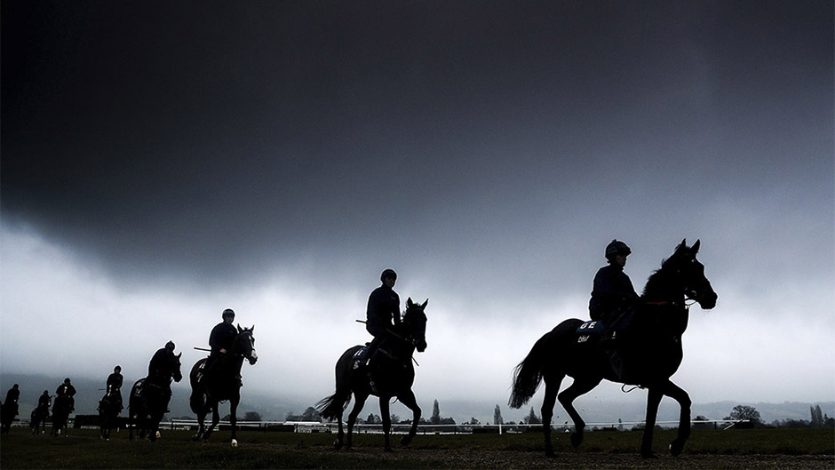 Tan2018-3-12_115811864_0 11