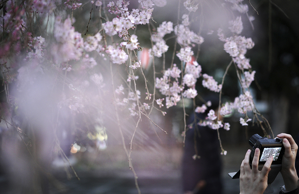 Tan2018-3-16_103132820_0