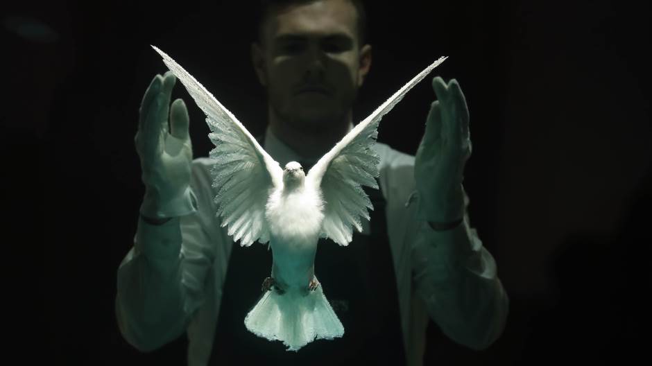 Tan2019-3-8_144927_1