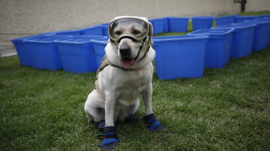 Tan2019-6-24_22649613_51