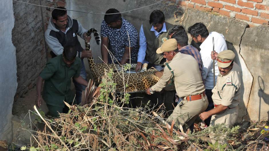 Tan2020-1-20_9818233_0