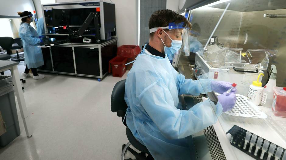 Tan2020-7-26_14316631_9