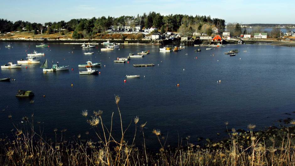 Tan2020-7-28_1503902_0