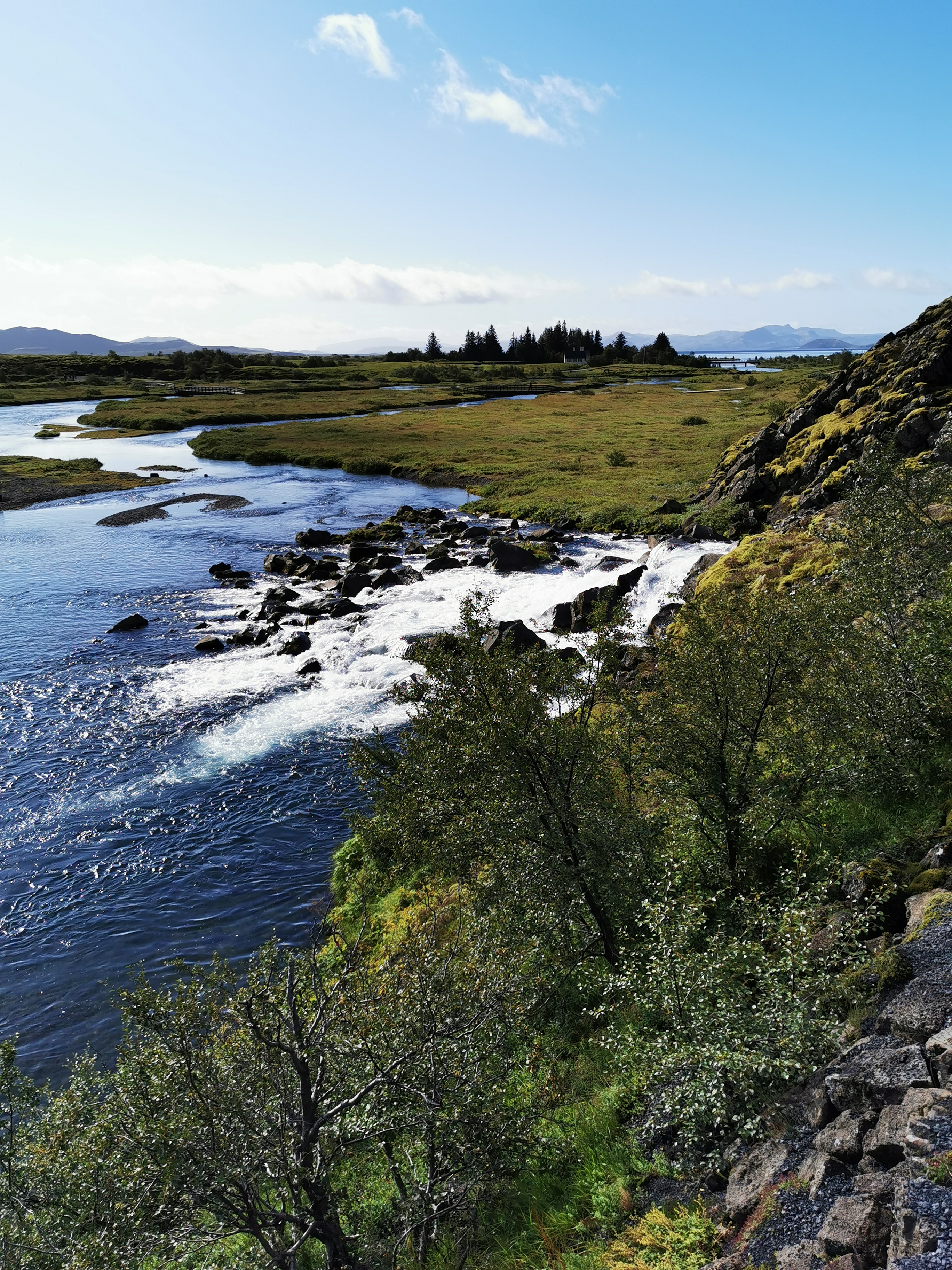 Tanjug/ Tamara Đurić