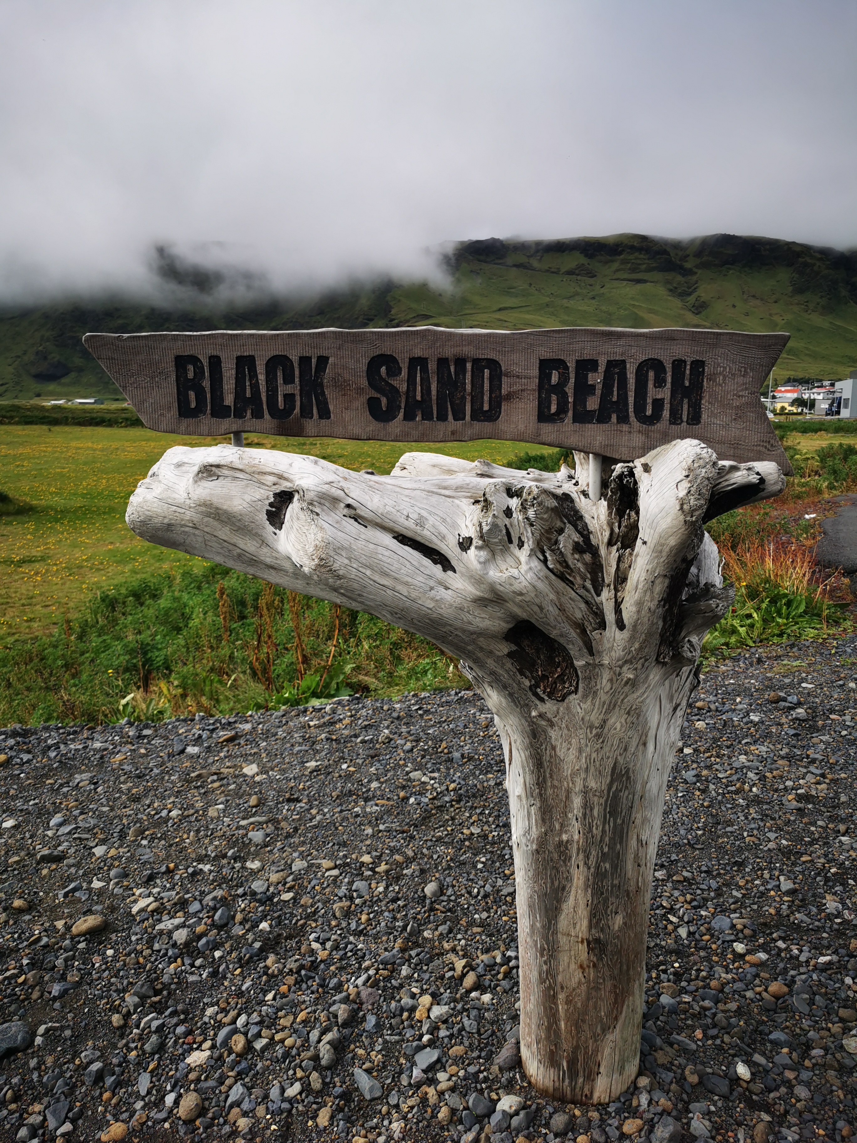 Tanjug/ Tamara Đurić