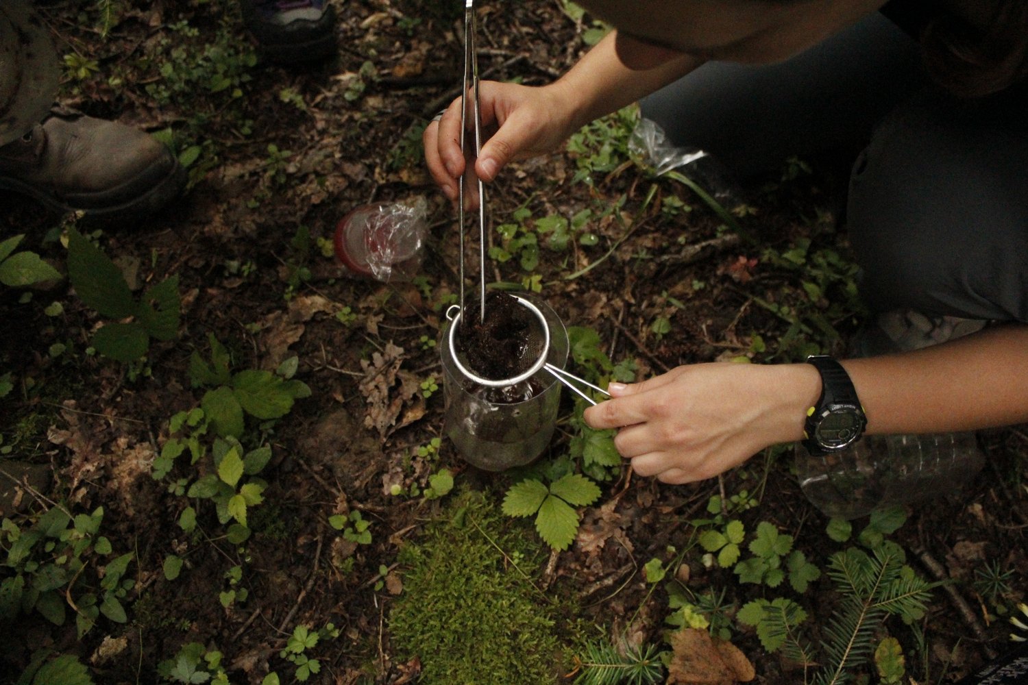 Terenski rad, čišćenje uzoraka_Foto_Tina Anić