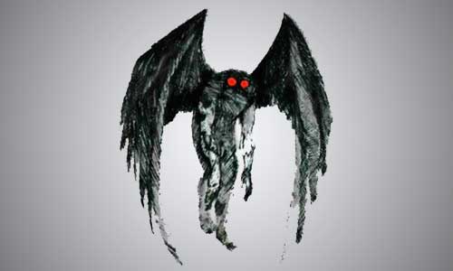 The-Owlman
