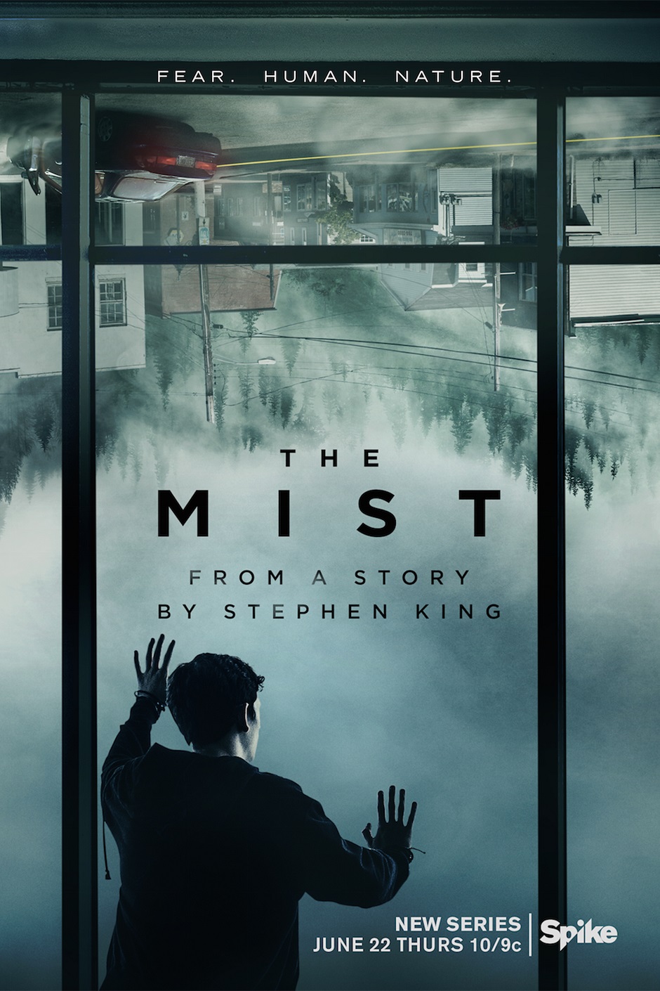 themist-108490.jpeg