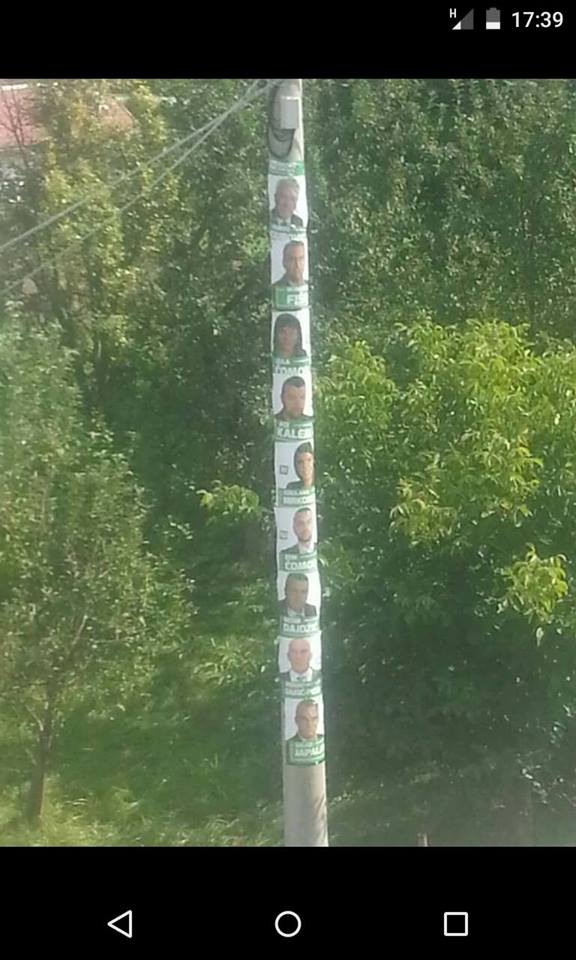 thumbnail_14238273_1512218288804378_3436790699695166900_n