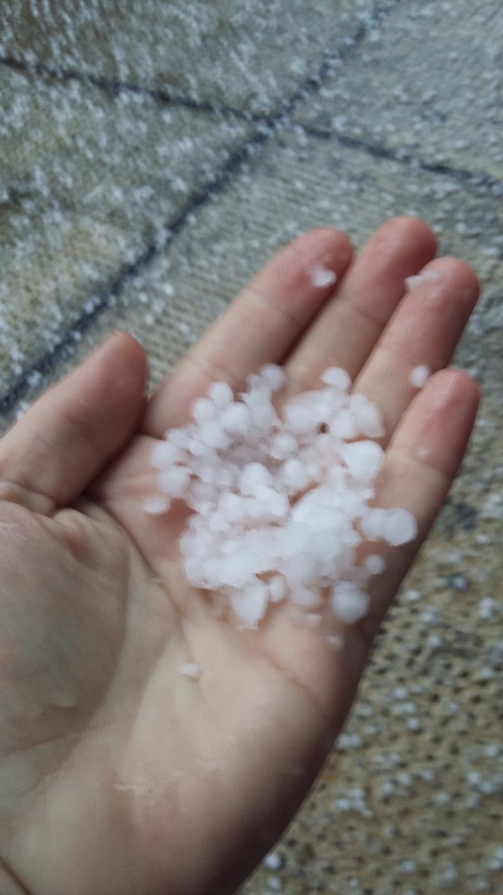 thumbnail_20170306_124611