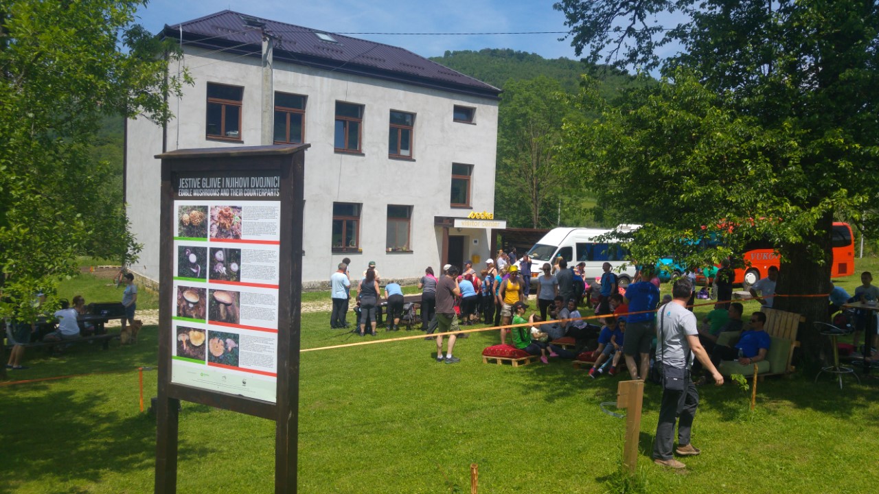 thumbnail_20170604_114355 (1)