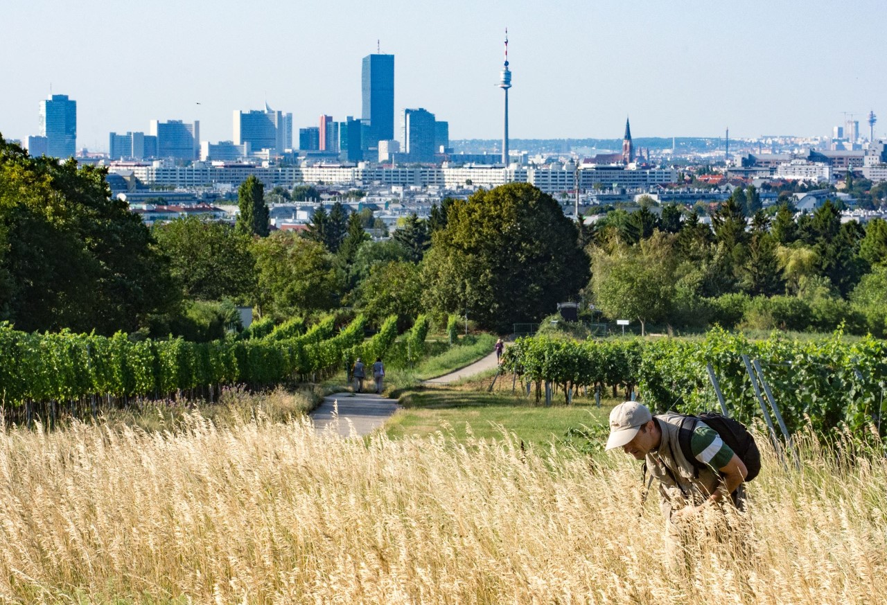 thumbnail_Copyright MA22 Wolfgang Khutter