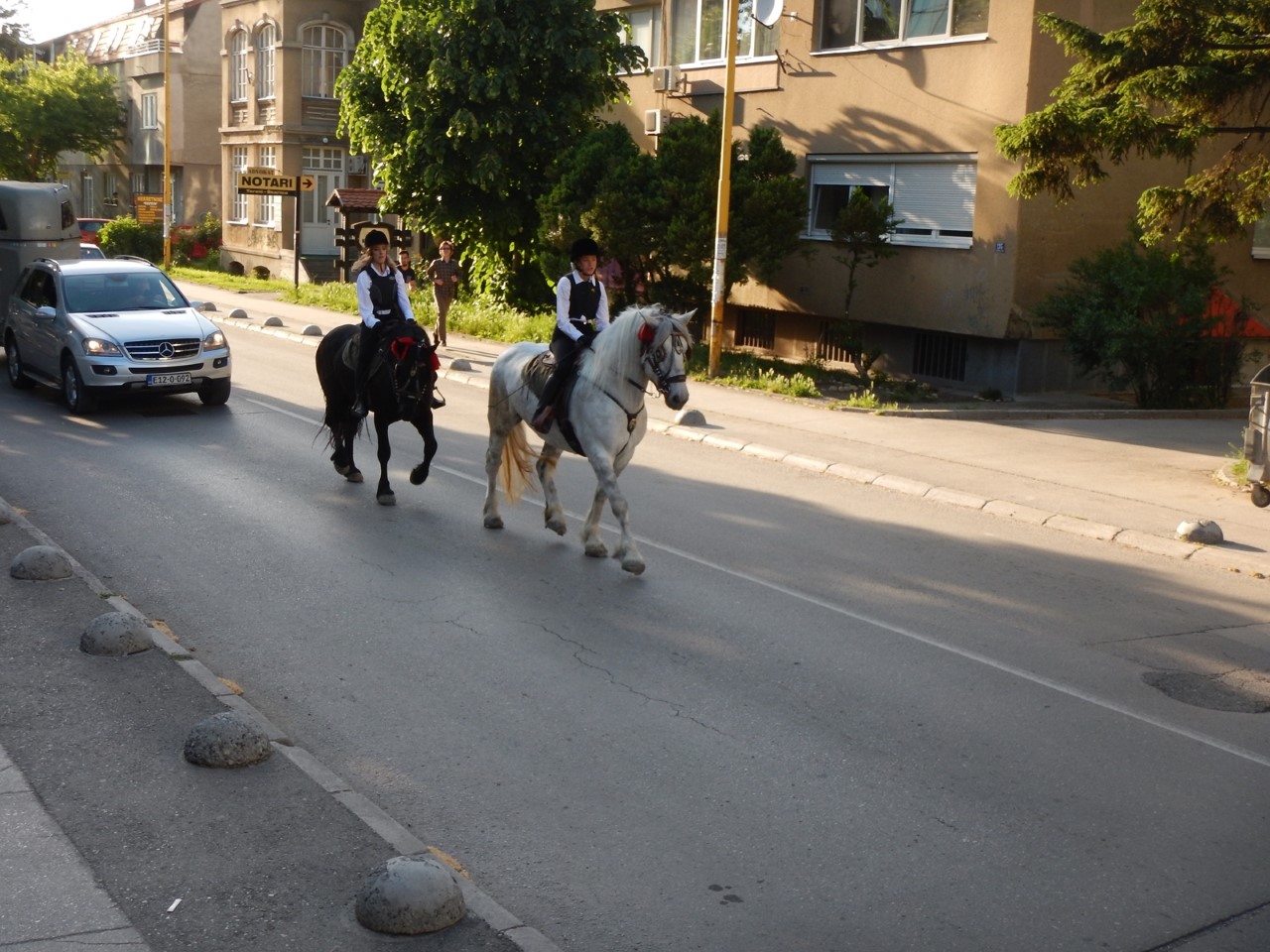 thumbnail_defile-konji (2)