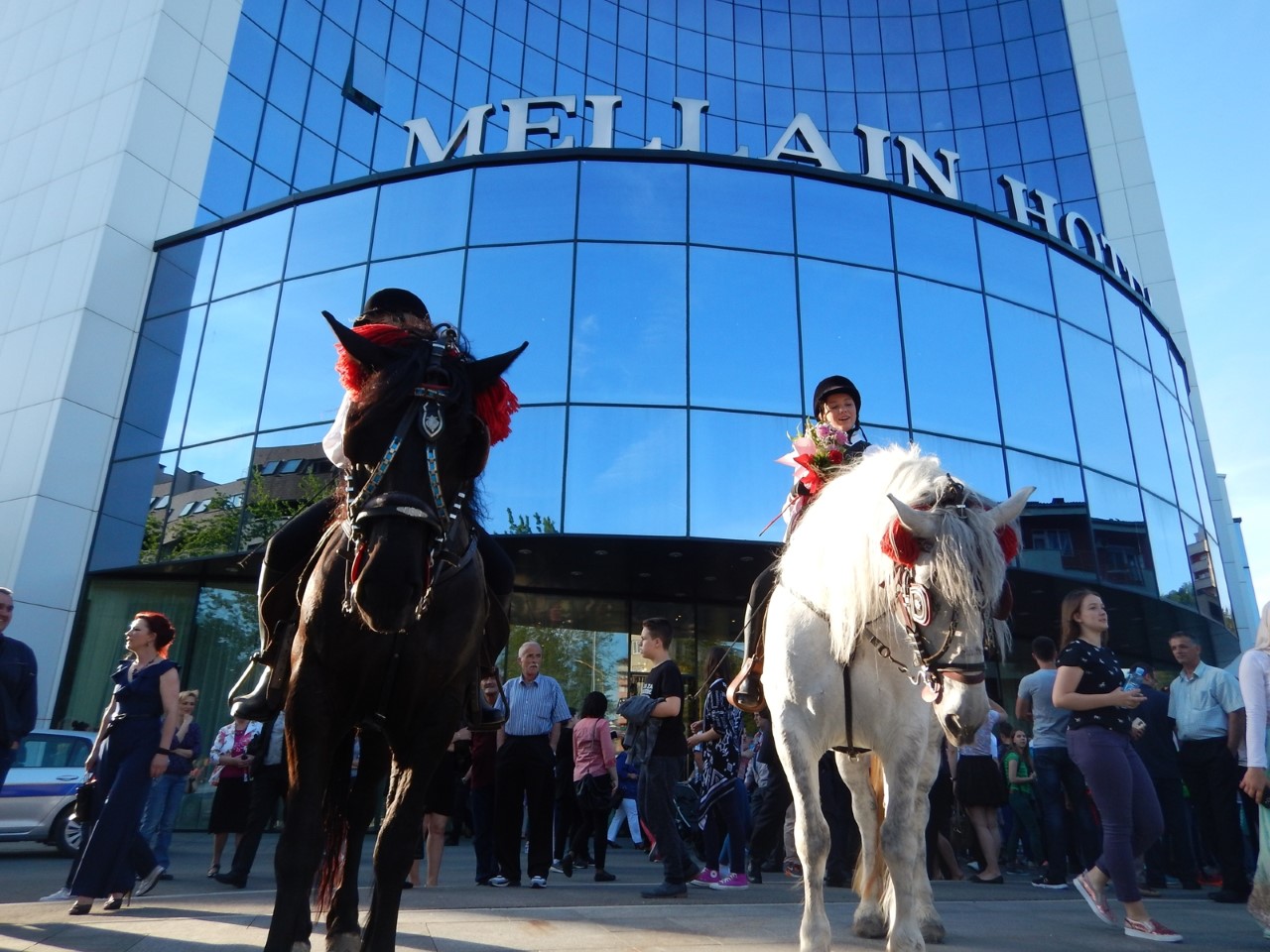 thumbnail_defile-konji (5)