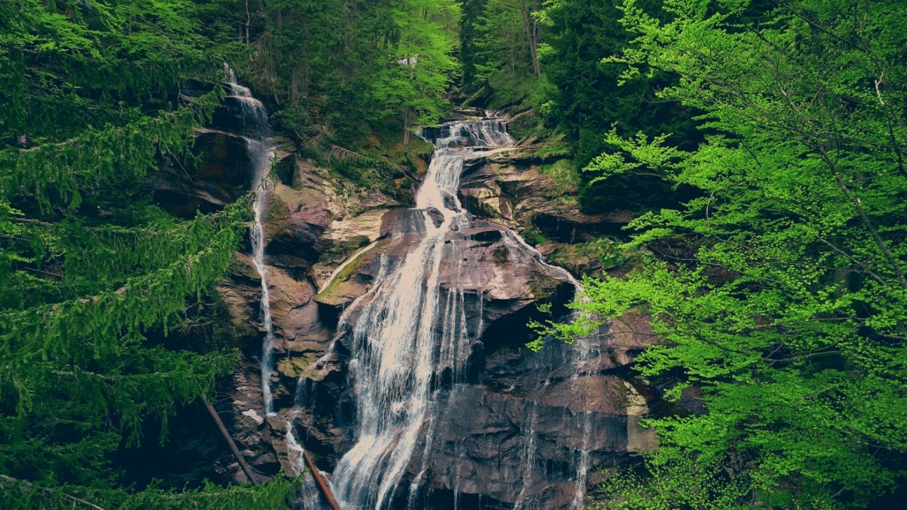 thumbnail_Sequence 31.00_00_03_24.Still001