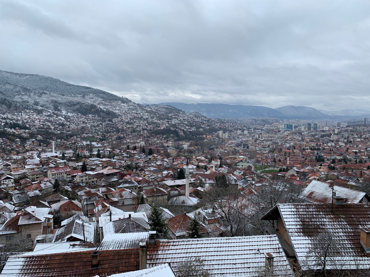 thumbnail_image8 (2)