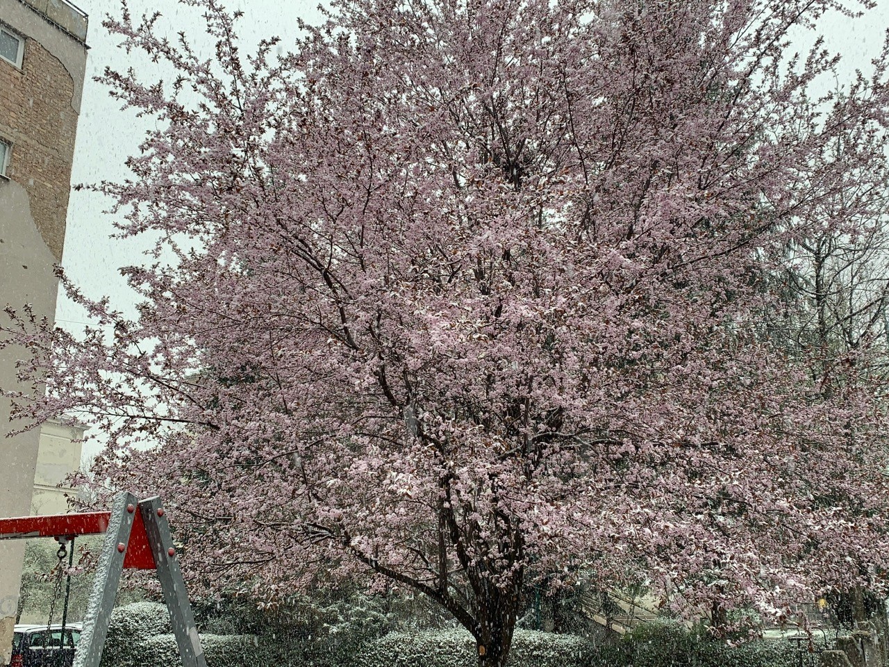 Snijeg, Sarajevo, april...