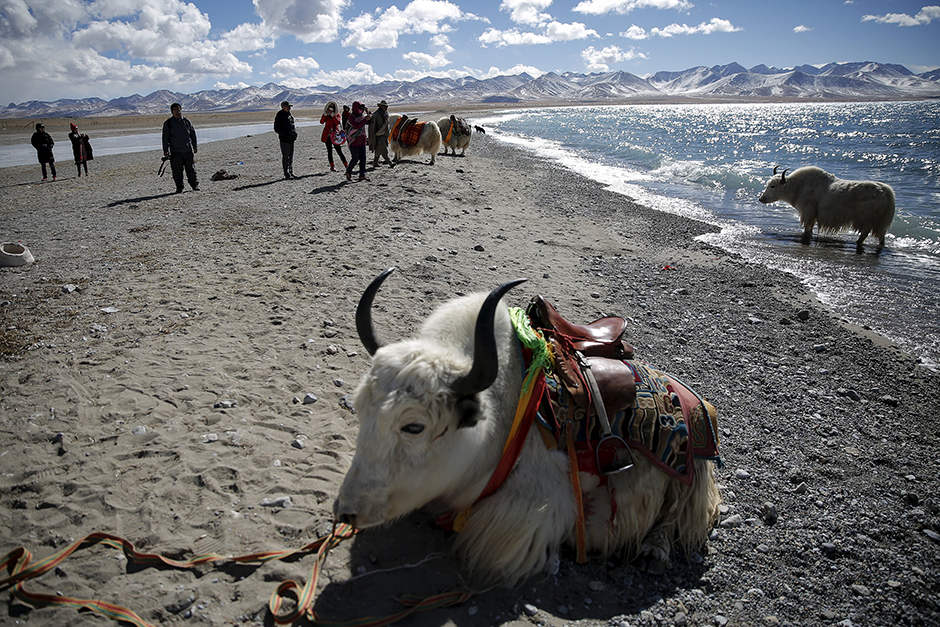 REUTERS/Damir Šagolj