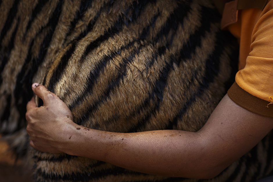 REUTERS/Athit Perawongmetha