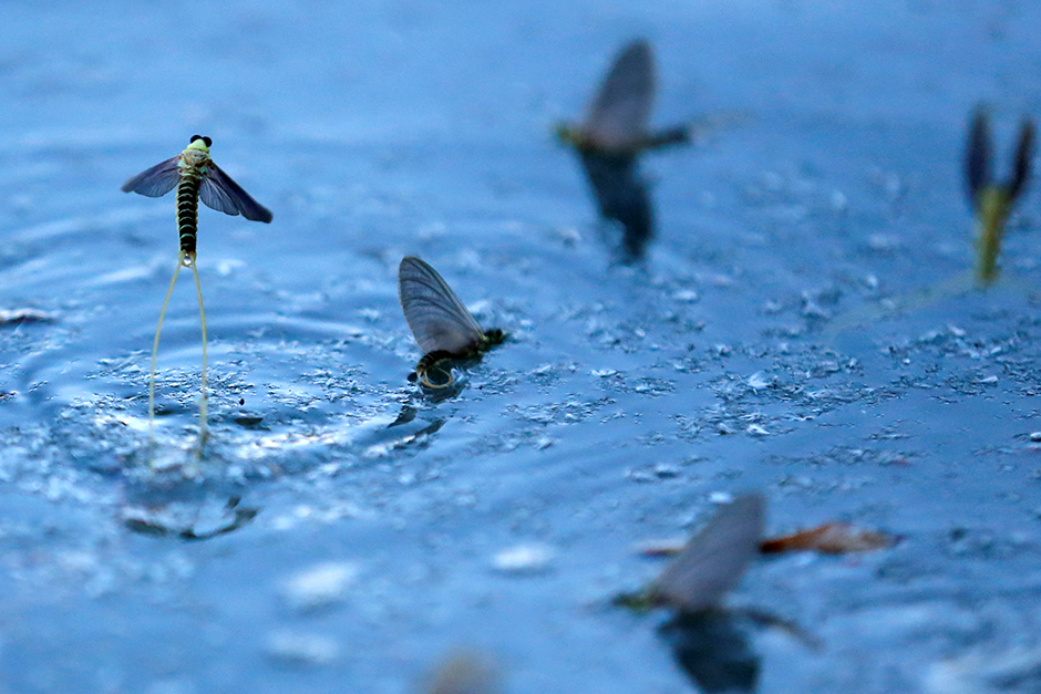 REUTERS/Laszlo Balogh