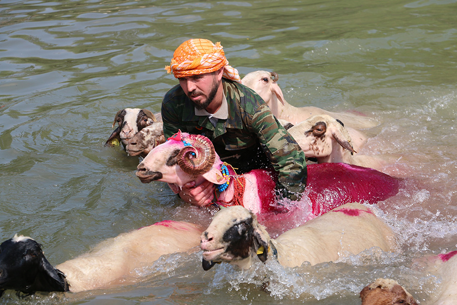 ANADOLIJA/Sebahatdin Zeyrek