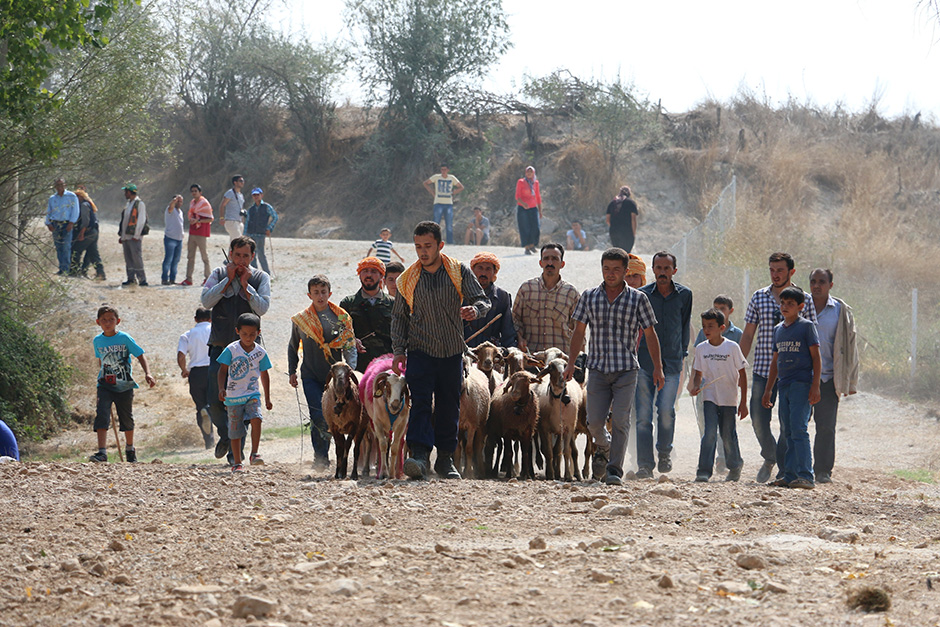 ANADOLIJA/Sebahatdin Zeyrek