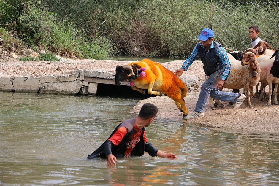 ANADOLIJA/Sebahatdin Zeyrek