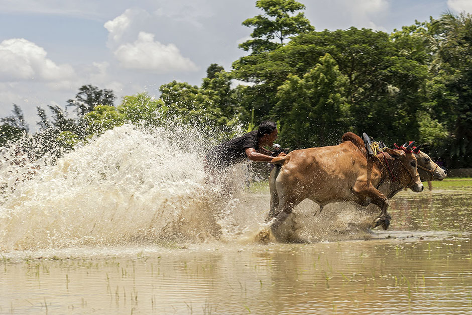 ANADOLIJA/Sushavan Nandy