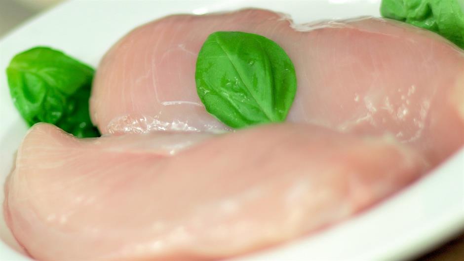 turkey-hen-569069_1920