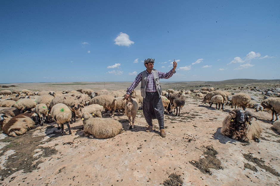 ANADOLIJA/Halil Fidan