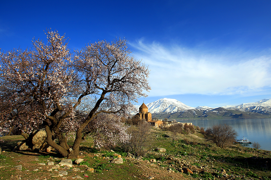 ANADOLIJA/Ali İhsan Öztürk
