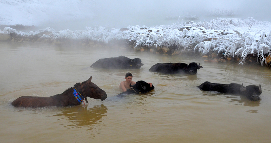 ANADOLIJA/Şener Toktaş