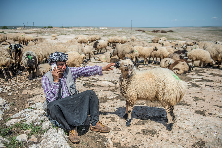 ANADOLIJA/Halil Fidan