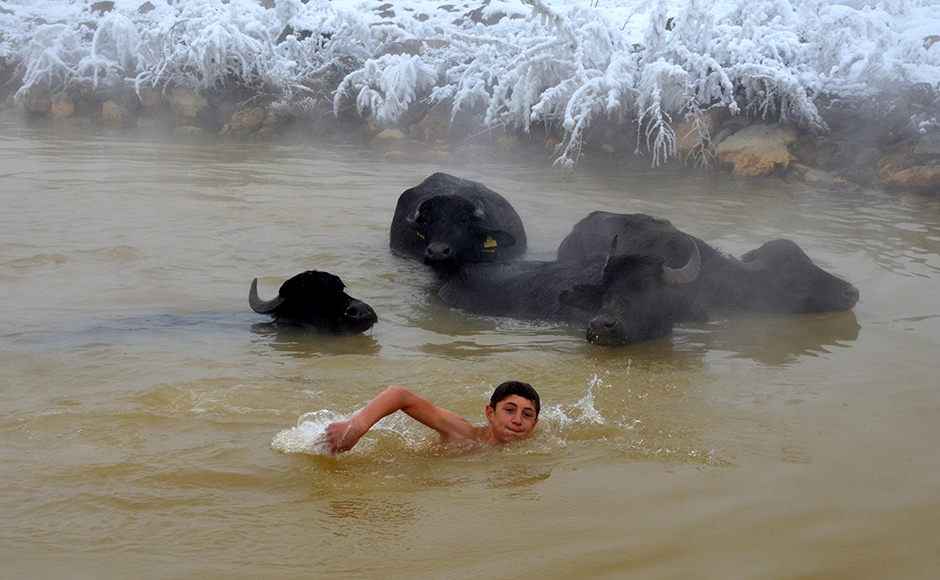 ANADOLIJA/Şener Toktaş