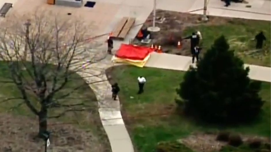 ubistvo dontra hamiltona