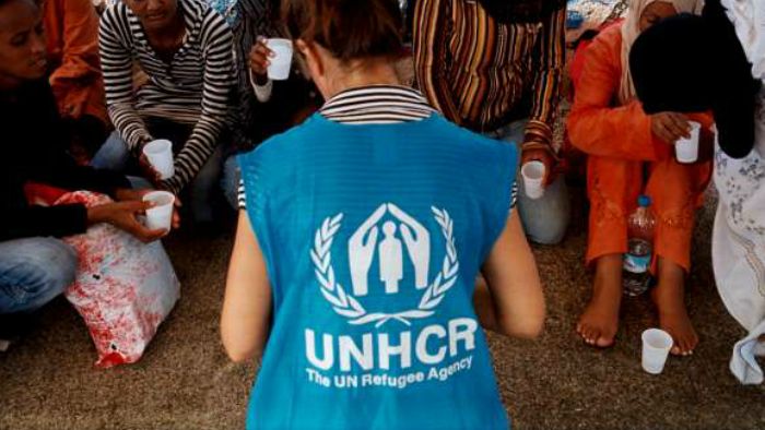 unhcr org