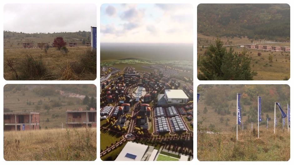 Untitled collage (1)