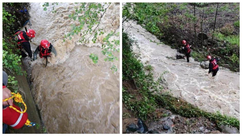 Untitled collage (1)