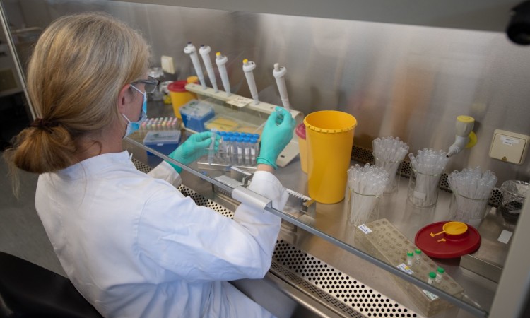 koronavirus testiranje